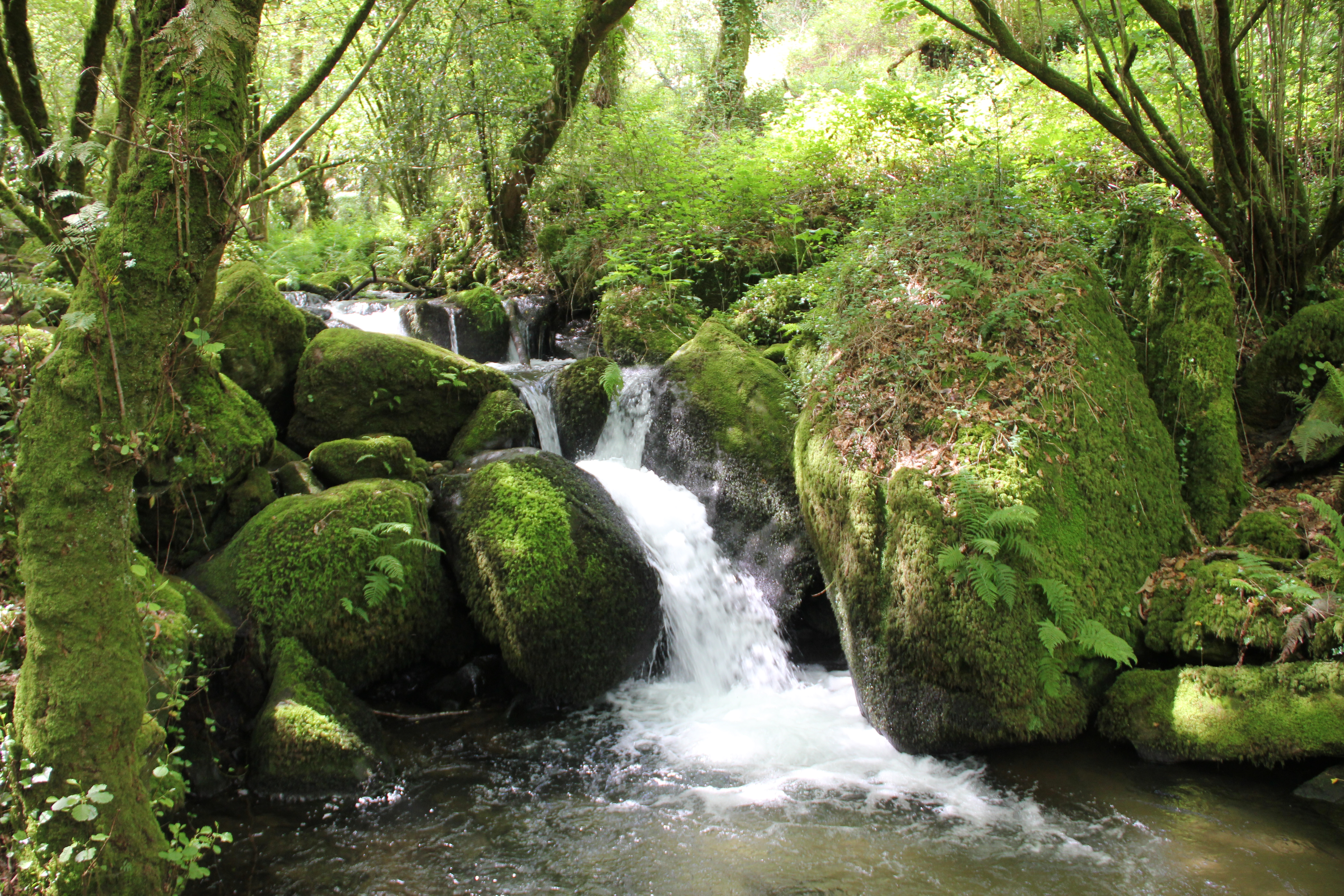 The Spiritual Variant - water and stone route